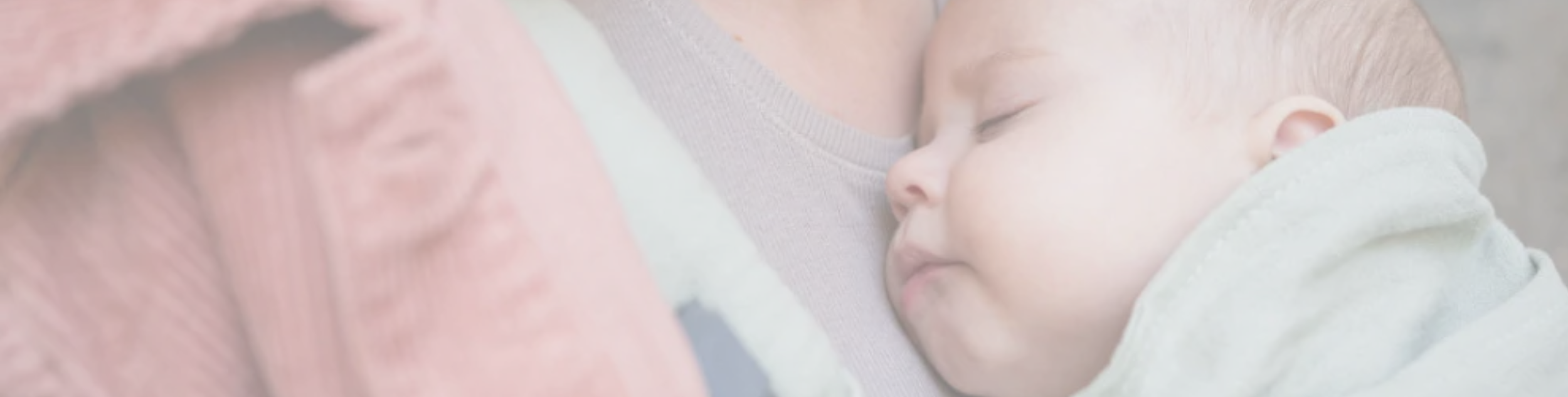 Light Weight Cabin Strollers