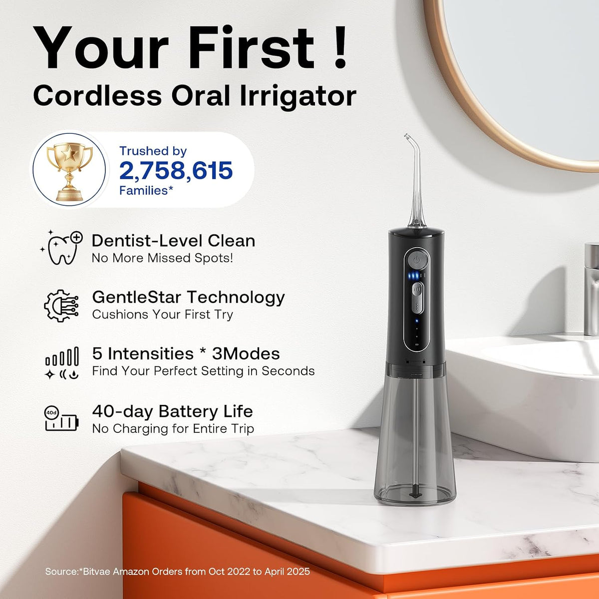 Bitvae C2 Water Flosser (Black) + 6 Pcs Nozzles