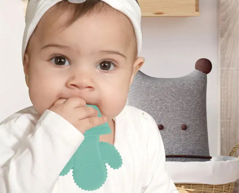 عضاضة الصبار من Babyjem (من عمر 3 أشهر فأكثر)