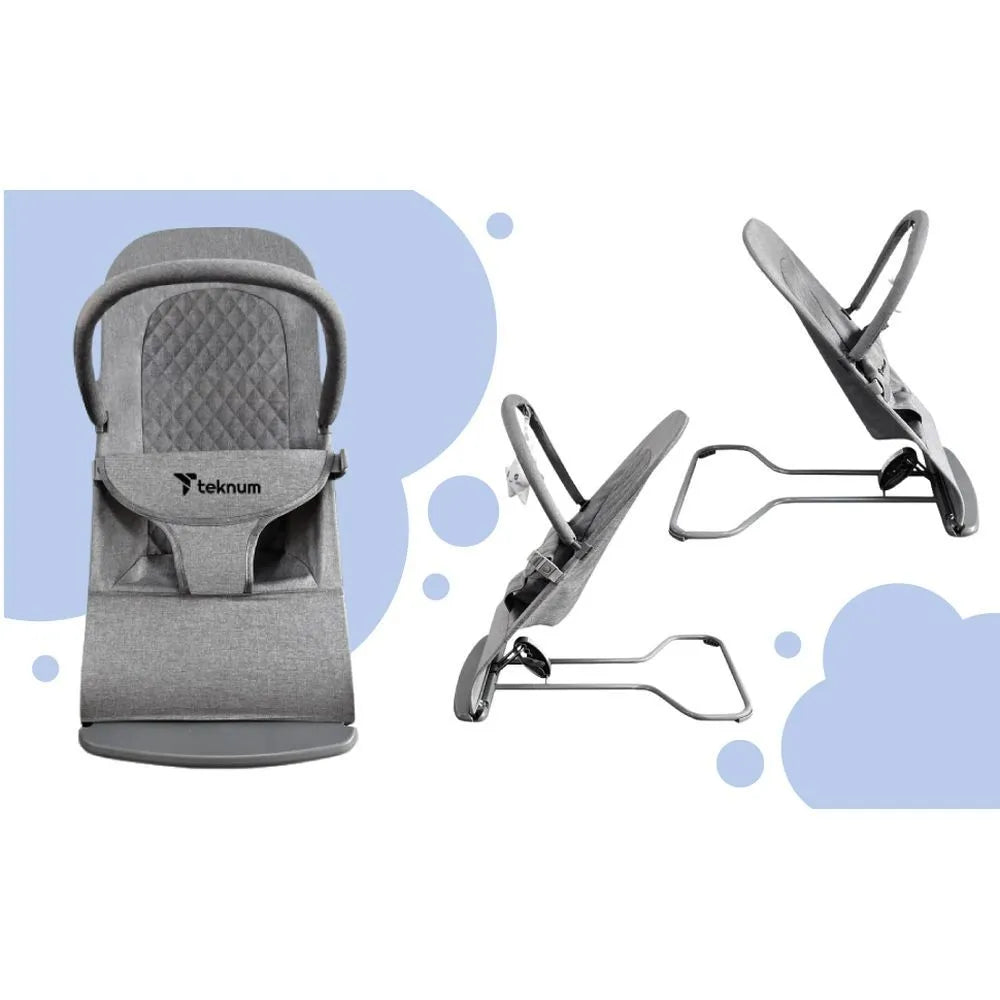 Teknum Baby Bouncer & Recliner Seat - Stage 3