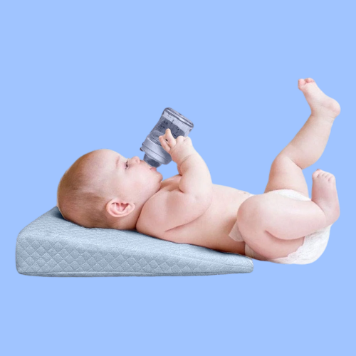 Robins Wedge Pillow (Blue)
