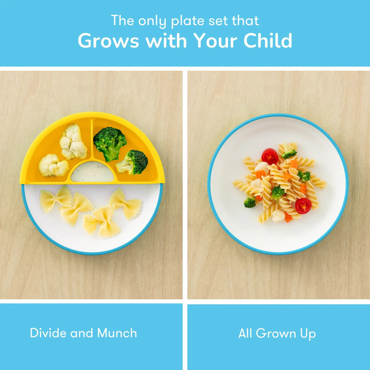 Omielife Omie Easy Scoop Plate Set (19cm)