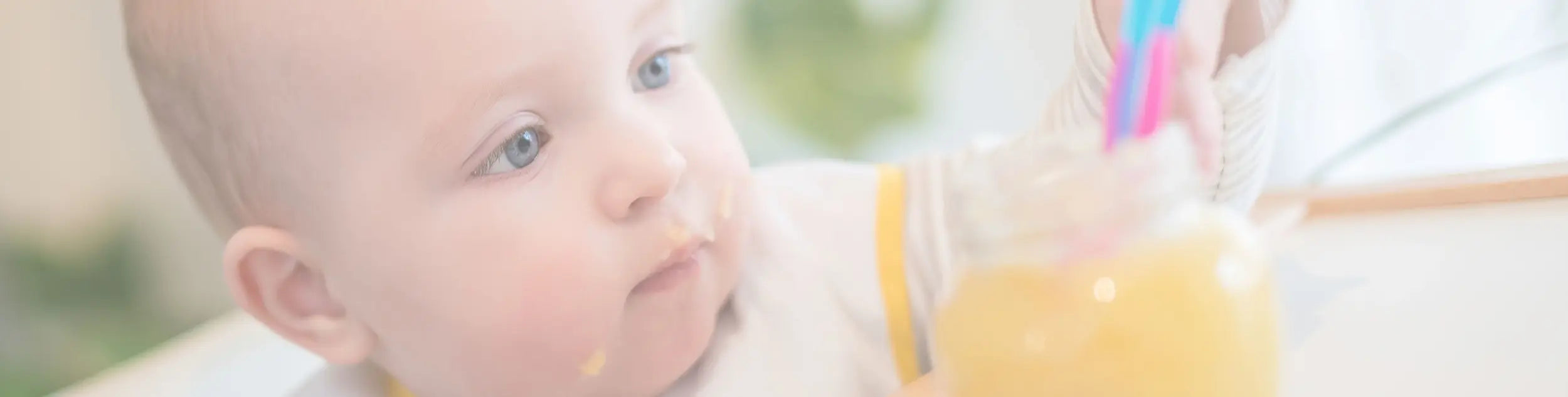 Baby Food Storage Containers