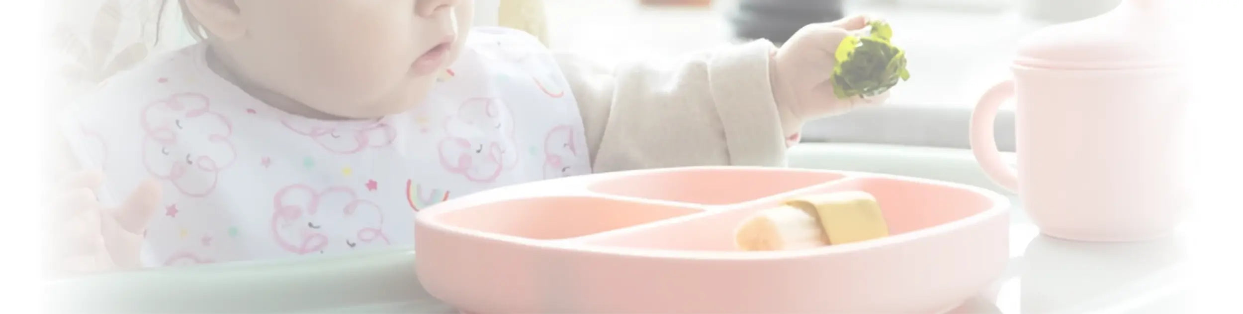 Baby Plates and Bowls