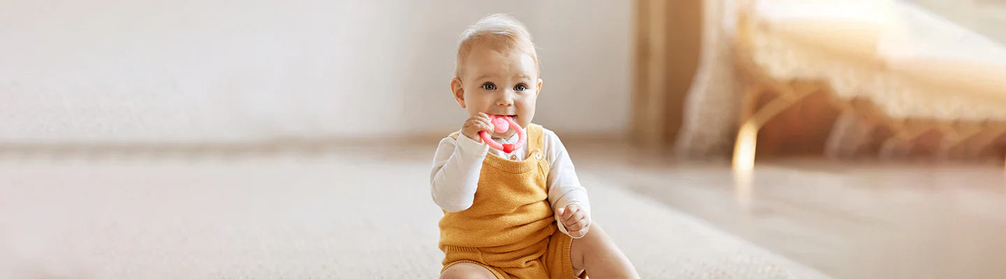 Strollers and Accessories