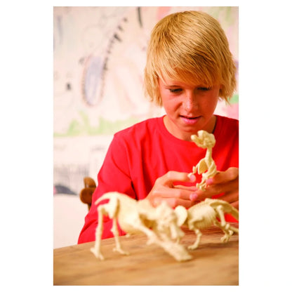 4M - KidzLabs Dig a Tyrannosaurus Rex Skeleton Excavation Kit - Multicolor