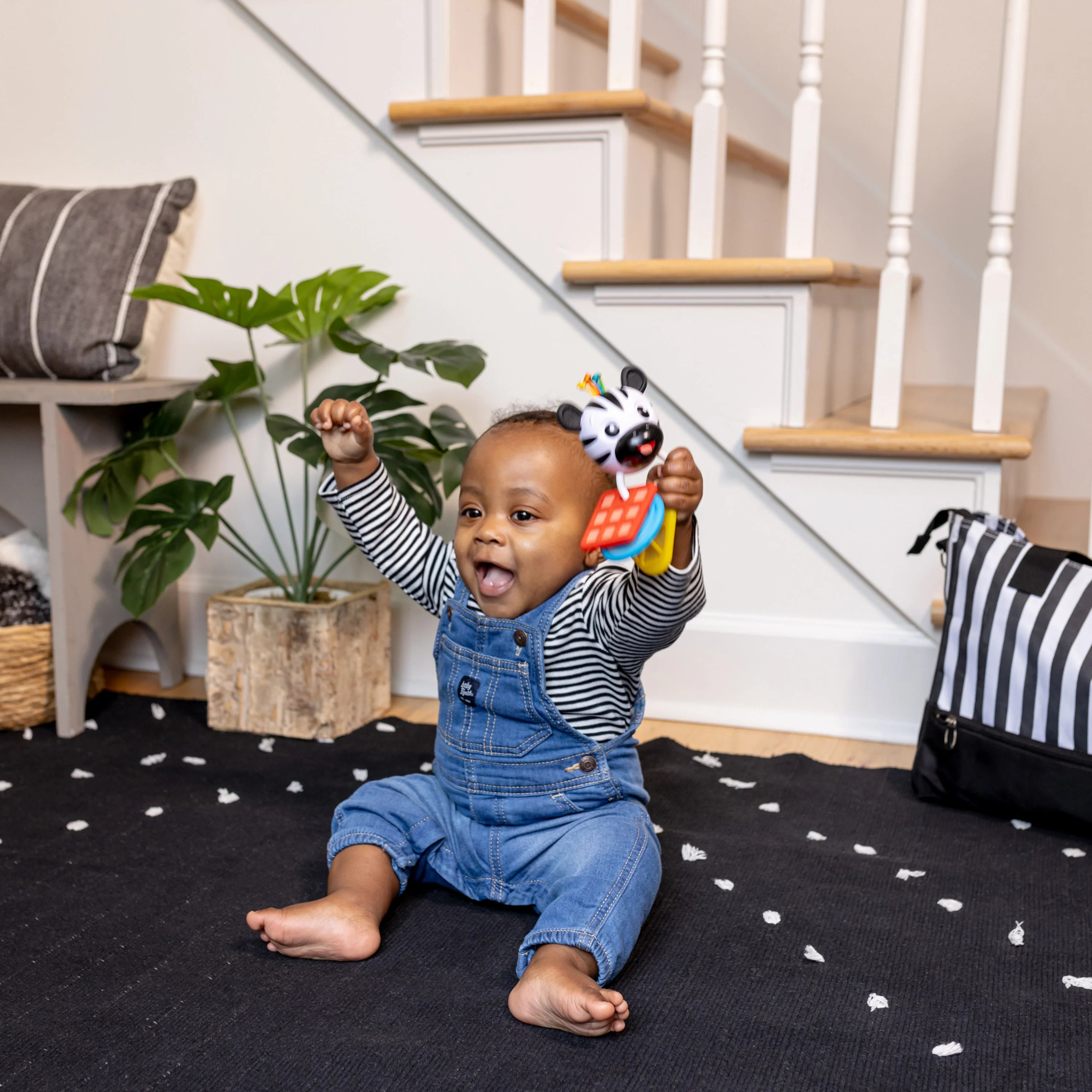 Baby Einstein Shake A Shape Zen Teether Toy
