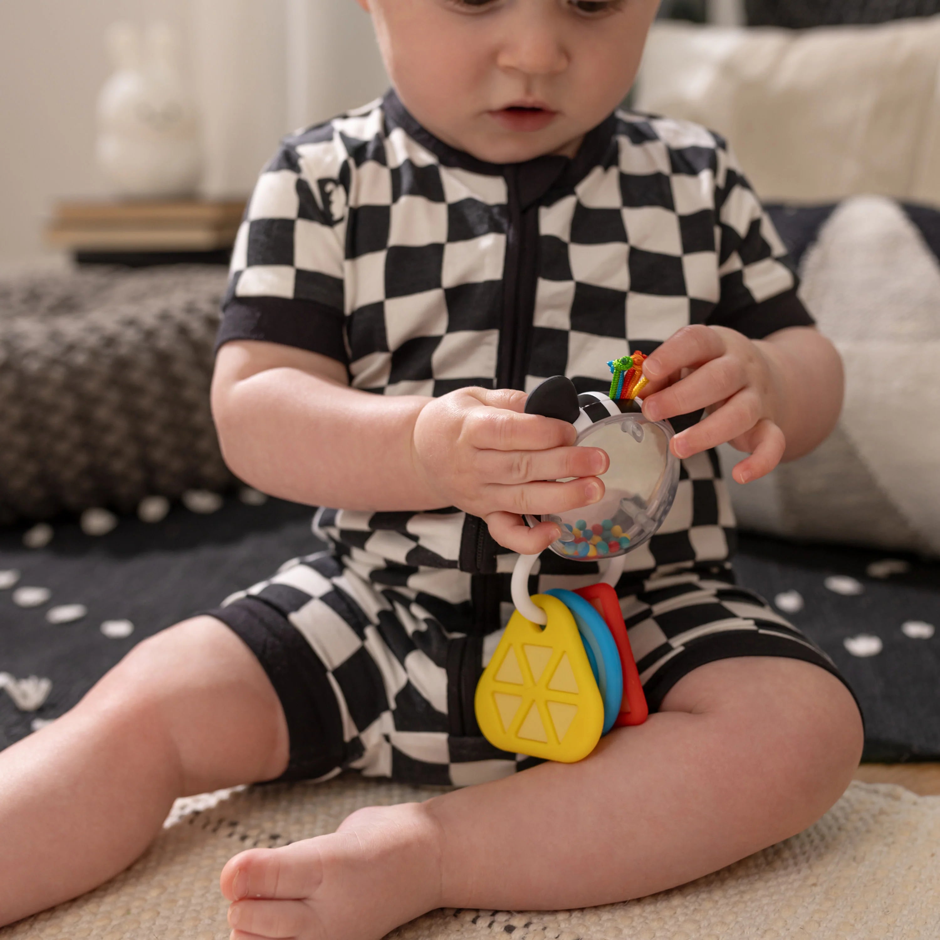 Baby Einstein Shake A Shape Zen Teether Toy