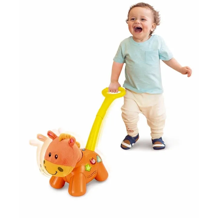 Winfun Push and Walk Pony