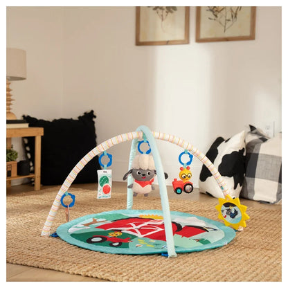 Baby Einstein - Happy Harvest Touch & Feel Activity Gym - Multicolor