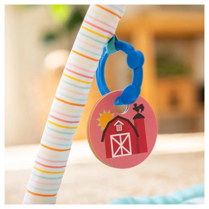 Baby Einstein - Happy Harvest Touch & Feel Activity Gym - Multicolor