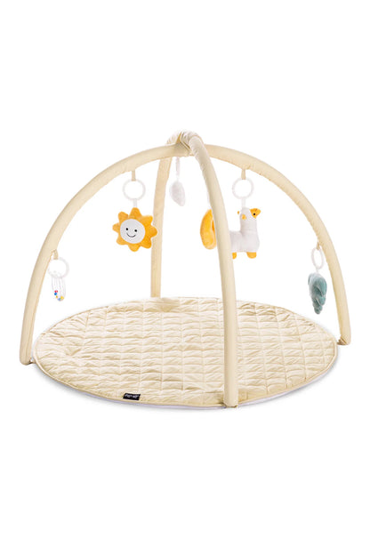 Little Story Baby Play Mat/Activity Gym
