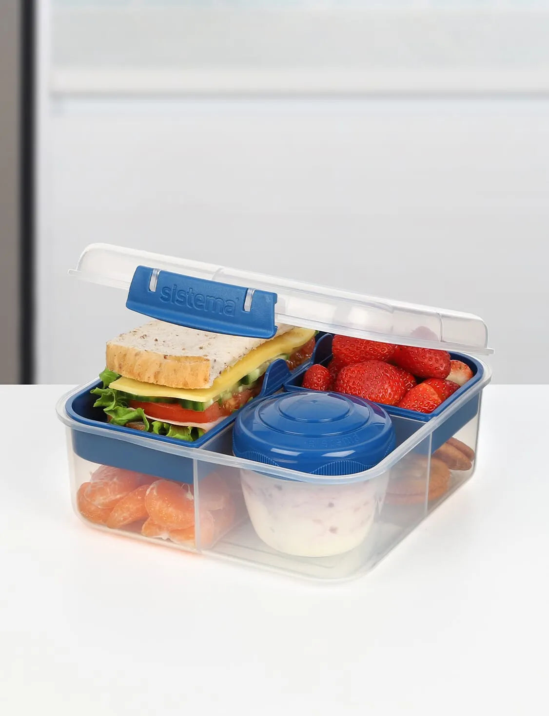 Sistema Bento Cube To Go (1.25L)