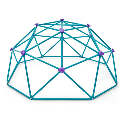 Plum - Deimos Metal Climbing Dome - Teal