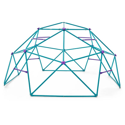 Plum - Phobos Metal Climbing Dome - Teal/Purple