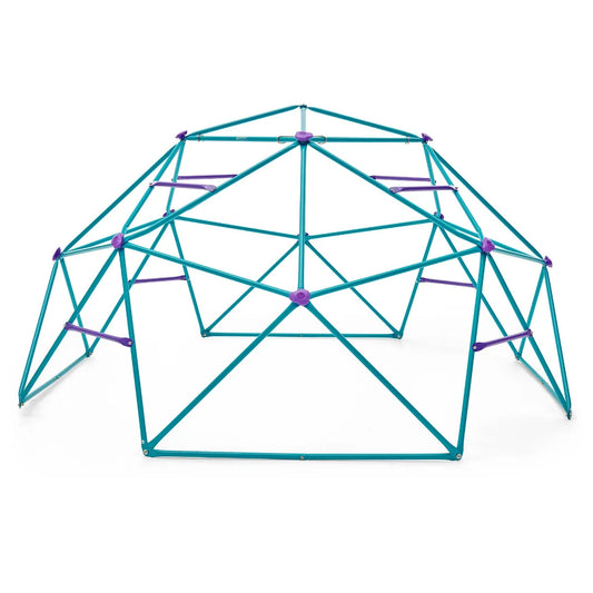 Plum - Phobos Metal Climbing Dome - Teal/Purple