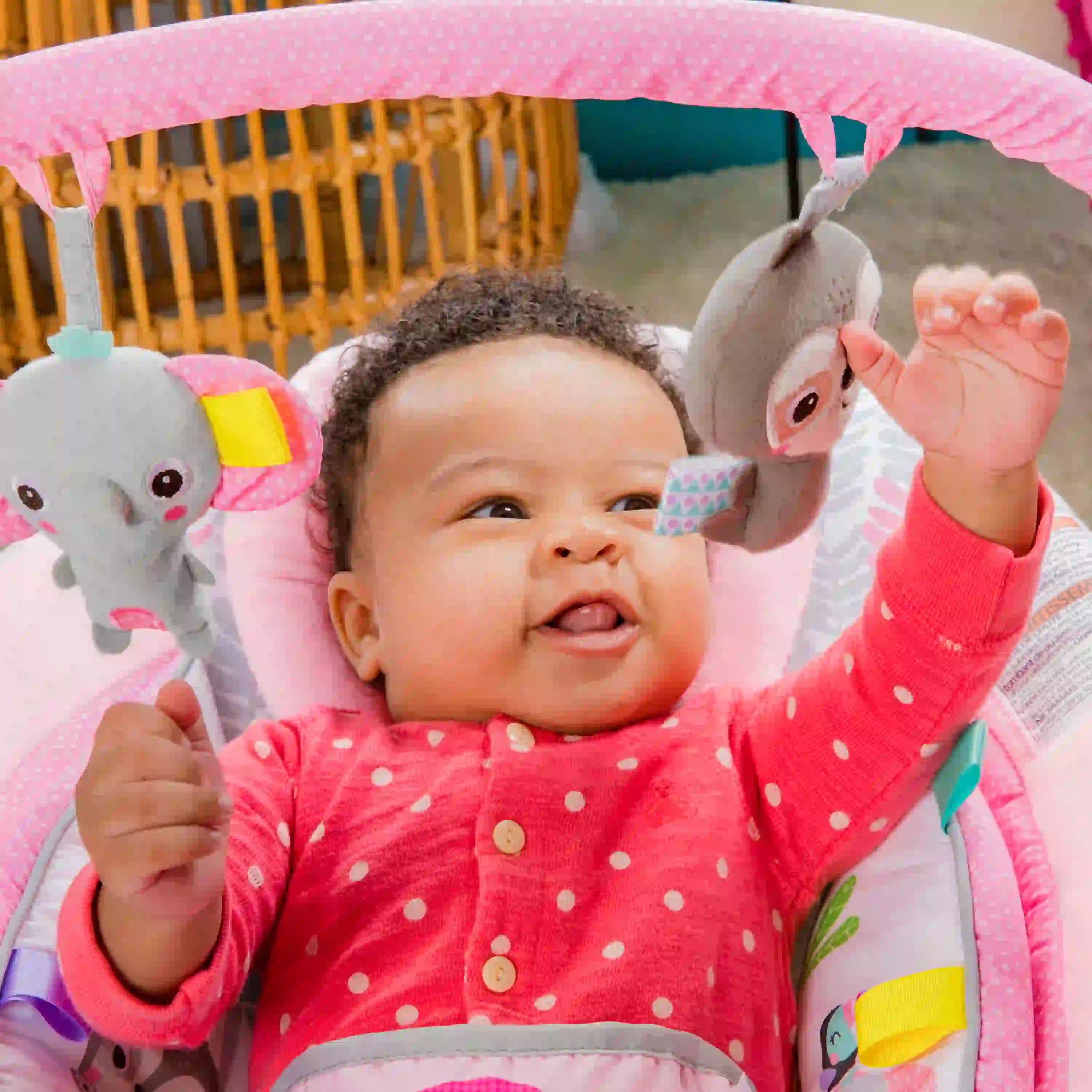 Bright Starts Comfy Bouncer Rosy Vines