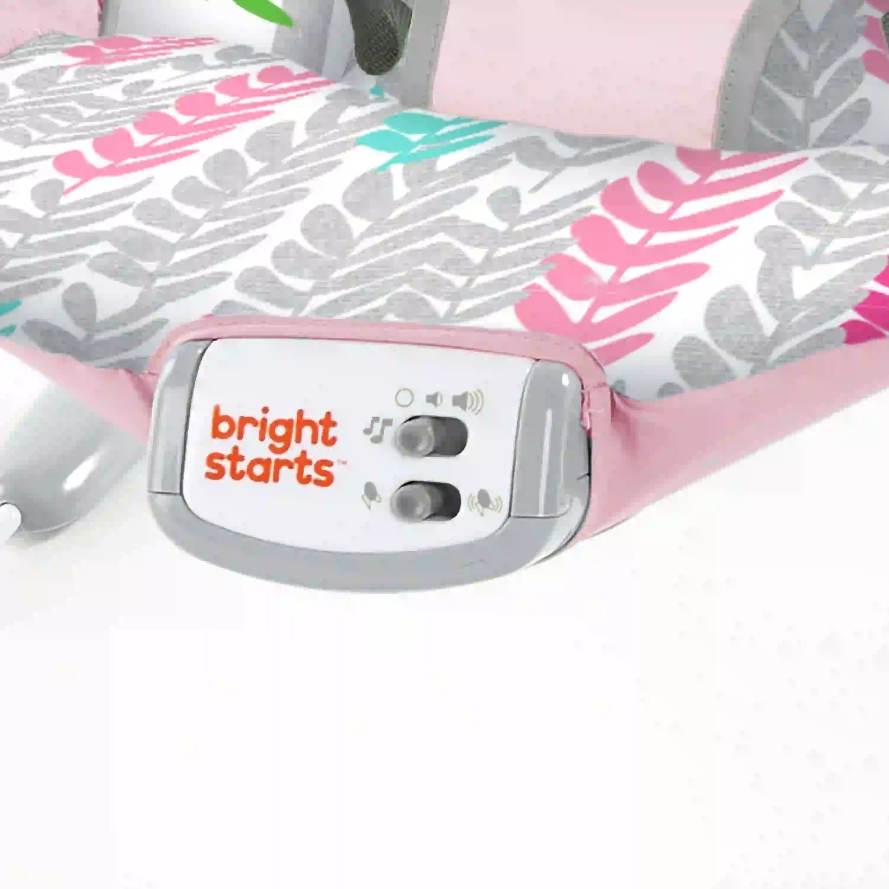 Bright Starts Comfy Bouncer Rosy Vines