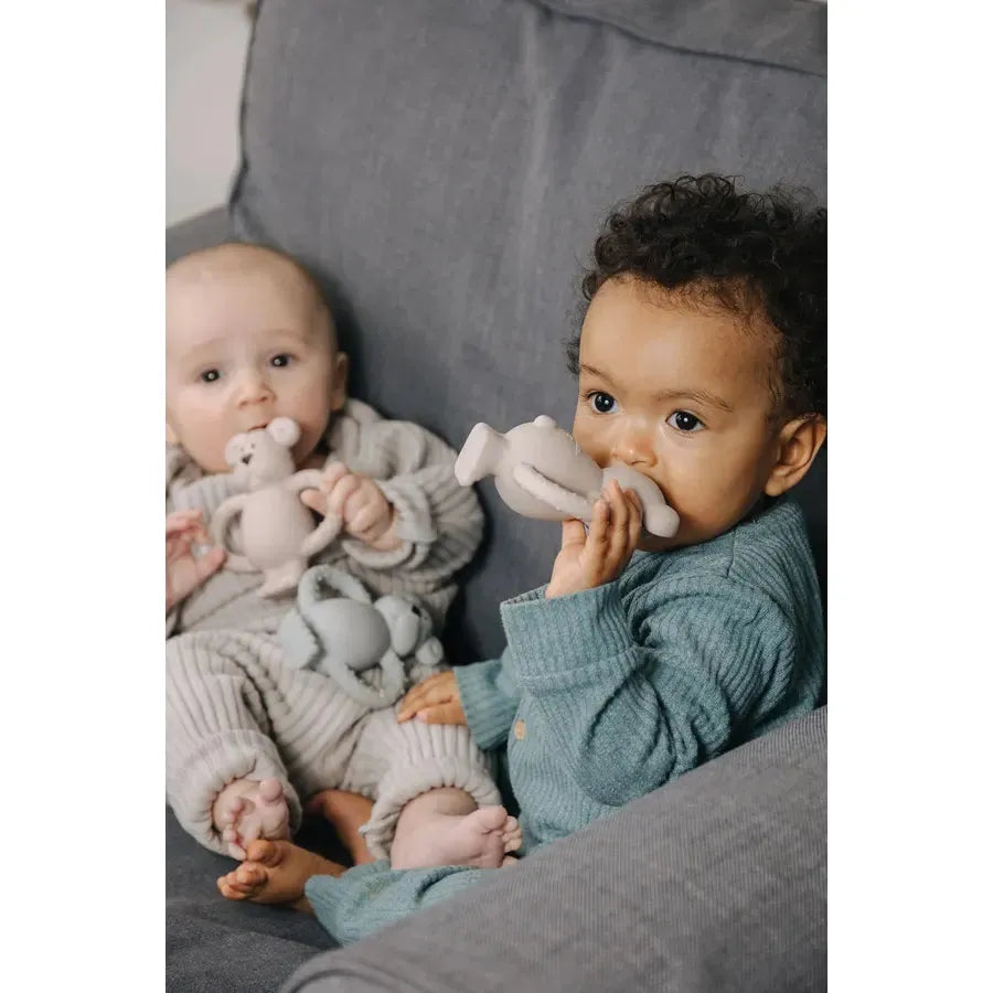 Pippeta Albert Bear Natural Rubber Teether
