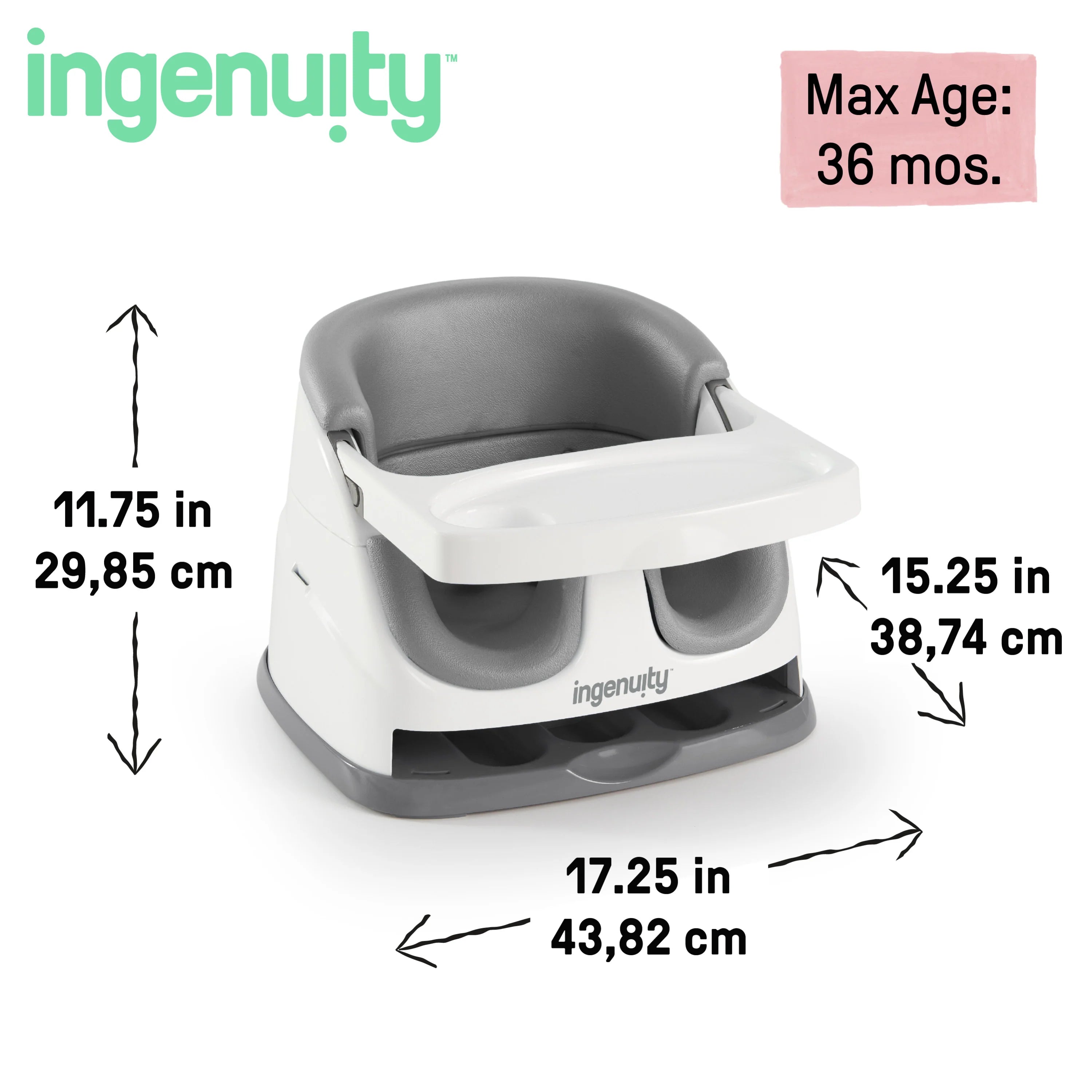 Ingenuity Baby Base 2 In 1 Seat