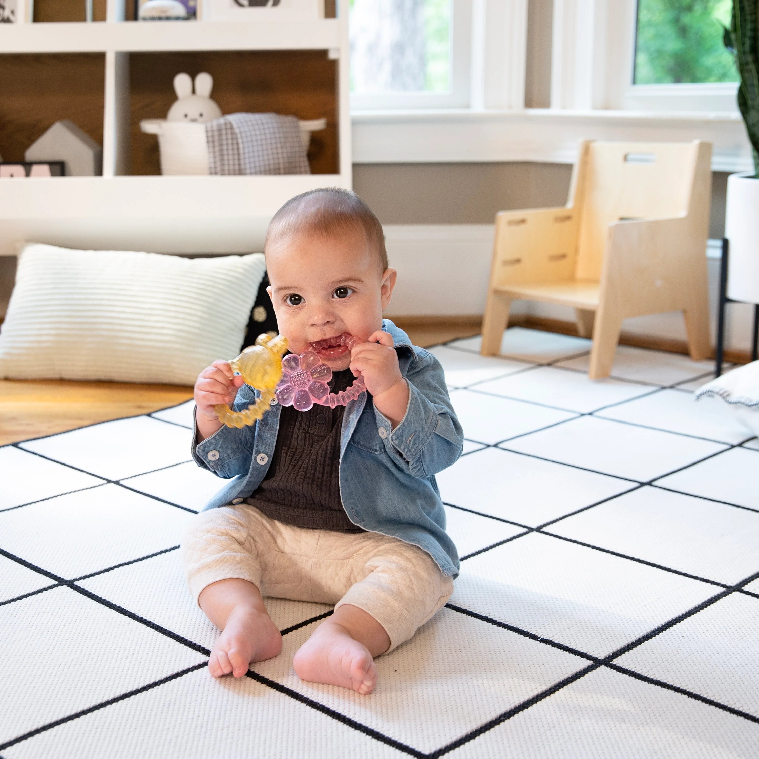 Ingenuity Cool Bite Water Teether