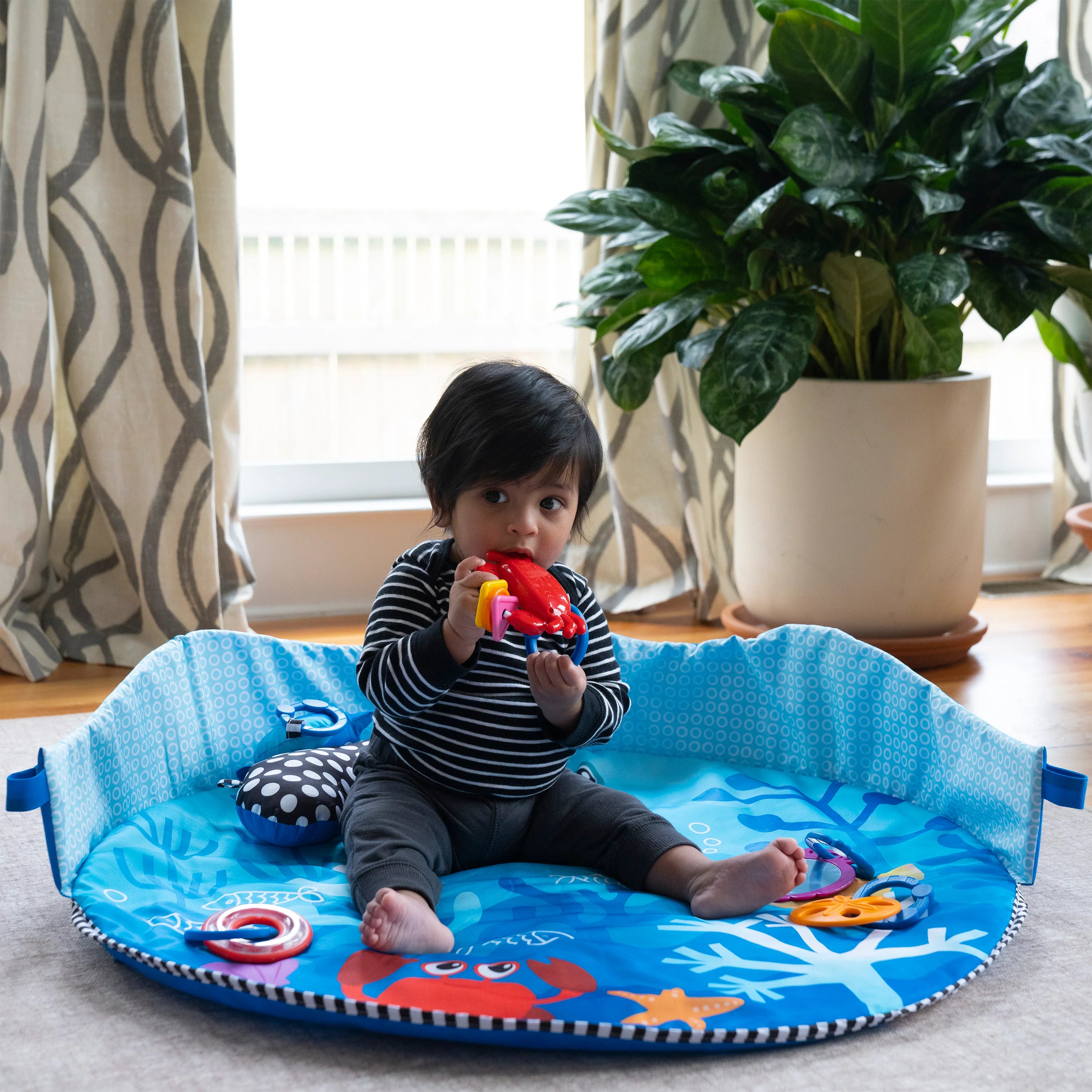 Baby Einstein Neptune Under the Sea Lights & Sounds Activity Gym