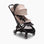 Black/Desert Taupe