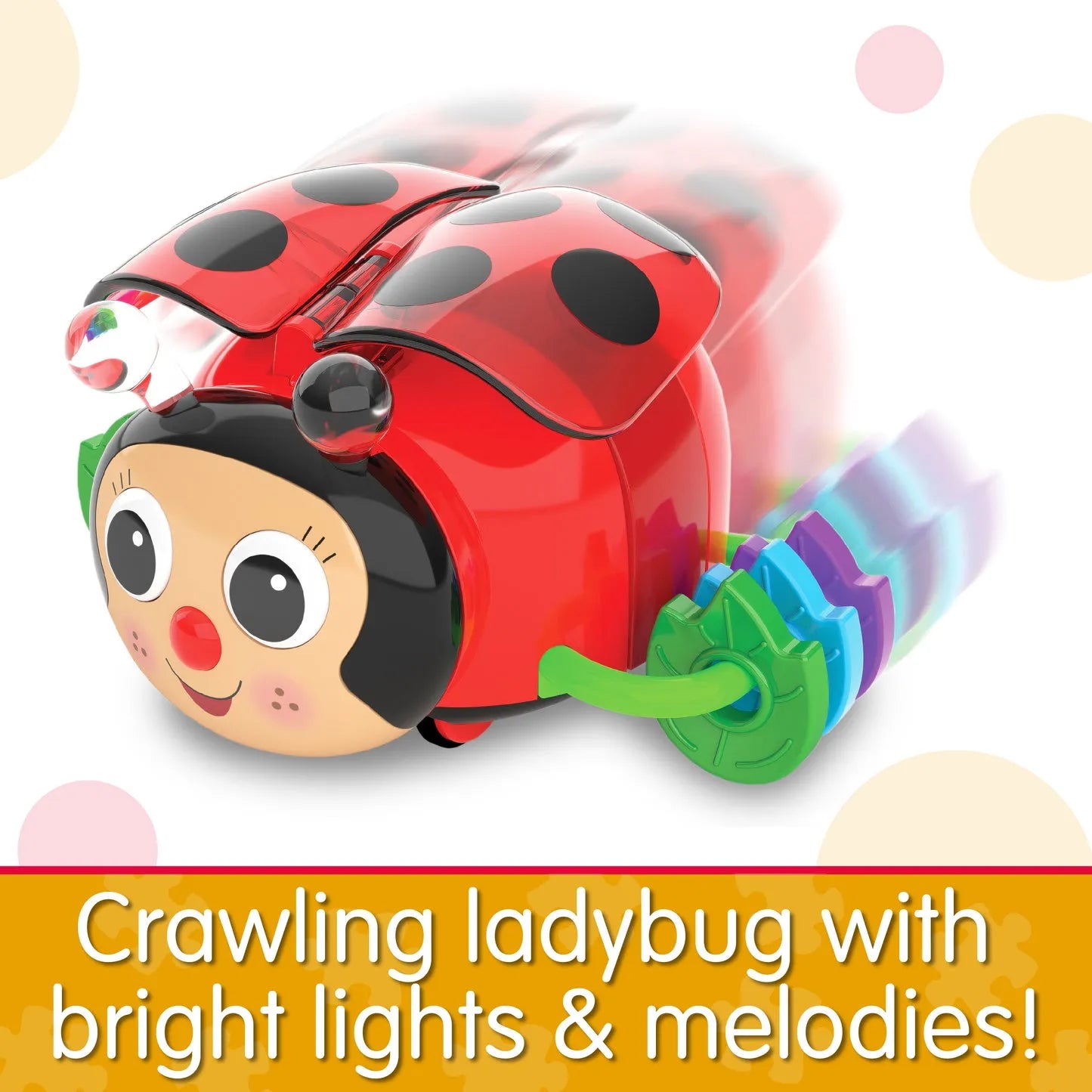 The Learning Journey Crawl About Ladybug