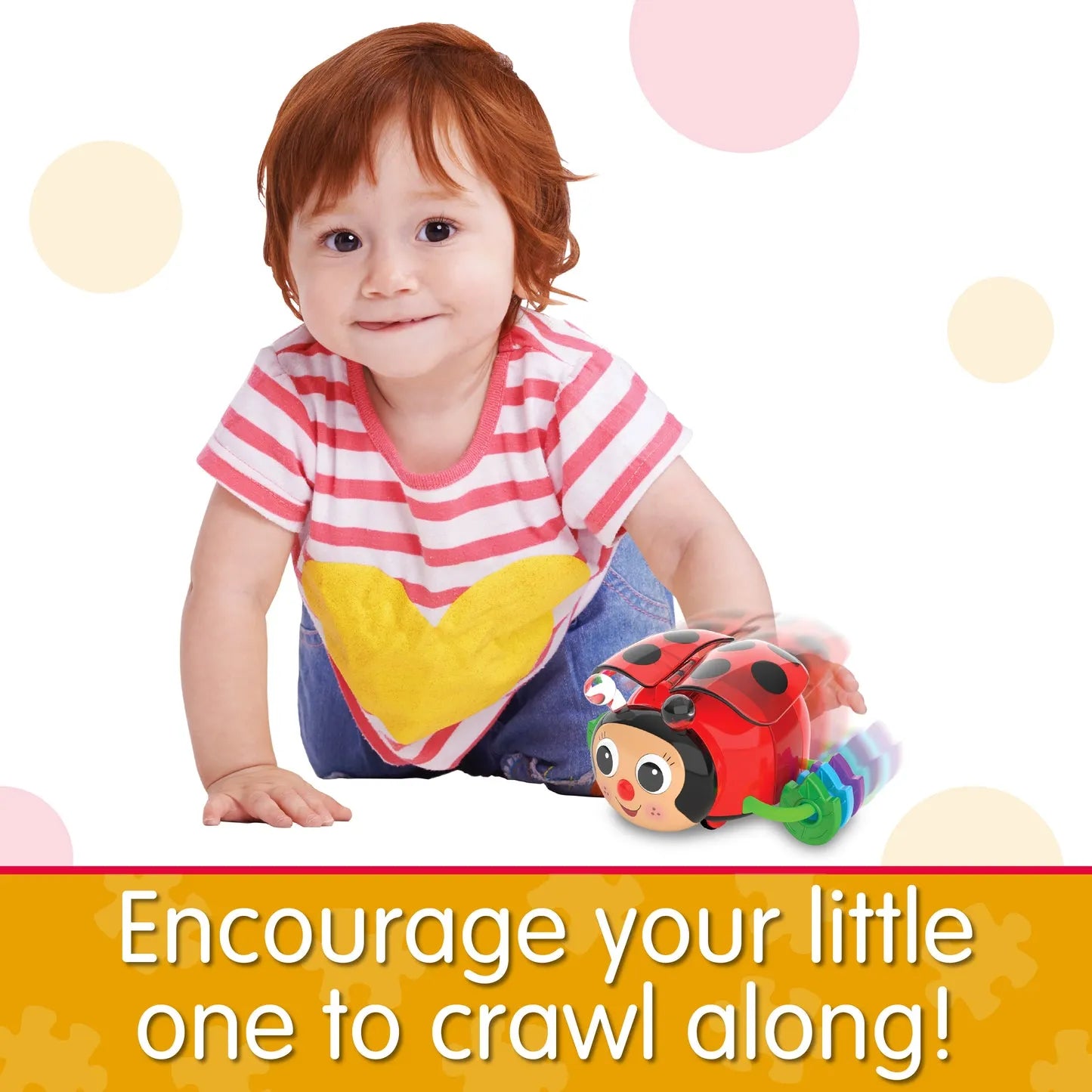 The Learning Journey Crawl About Ladybug