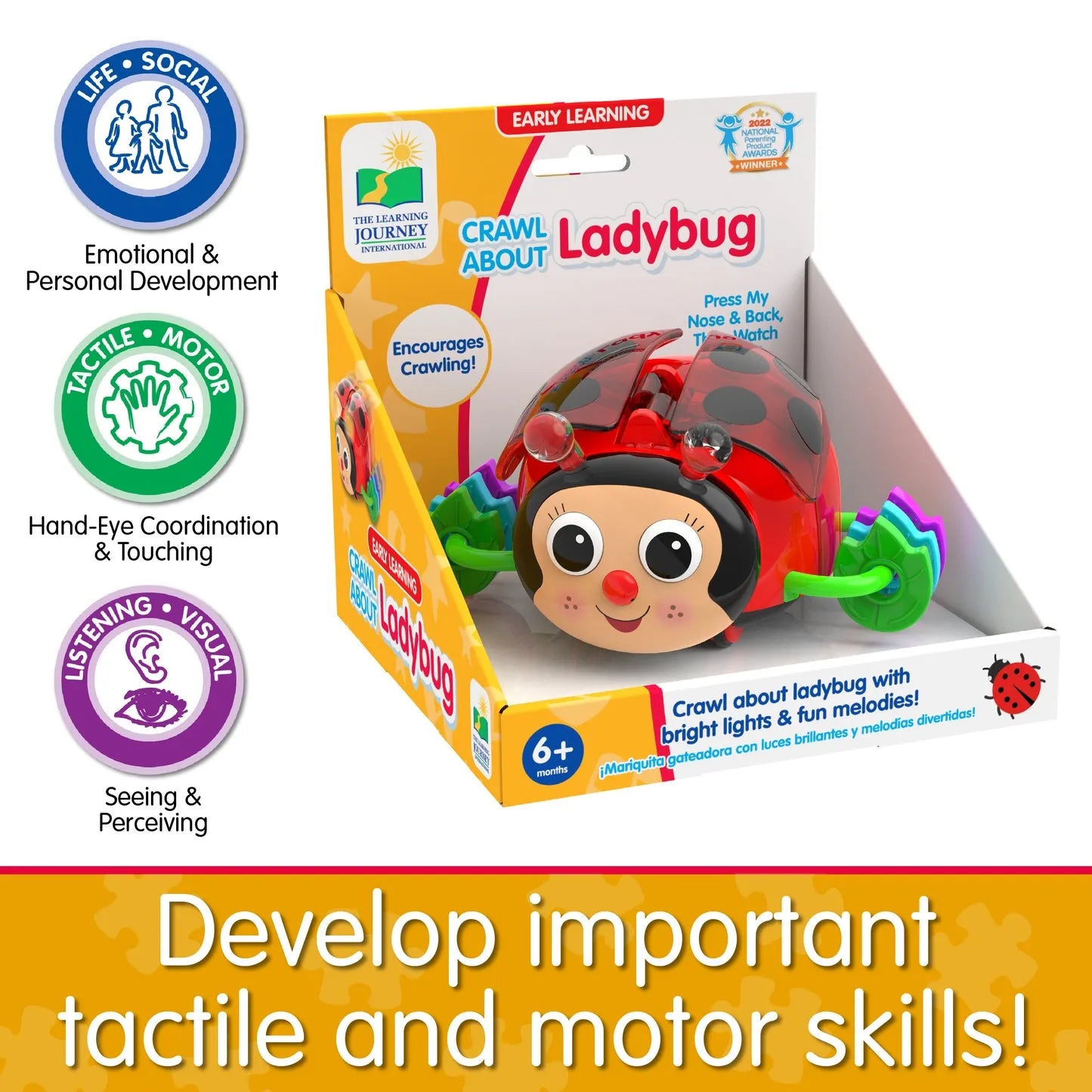 The Learning Journey Crawl About Ladybug