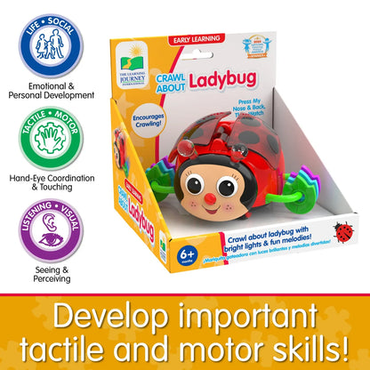 The Learning Journey Crawl About Ladybug