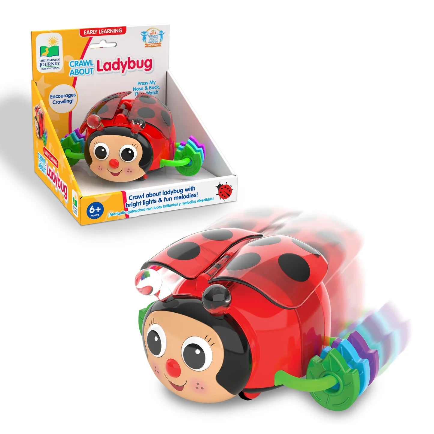 The Learning Journey Crawl About Ladybug