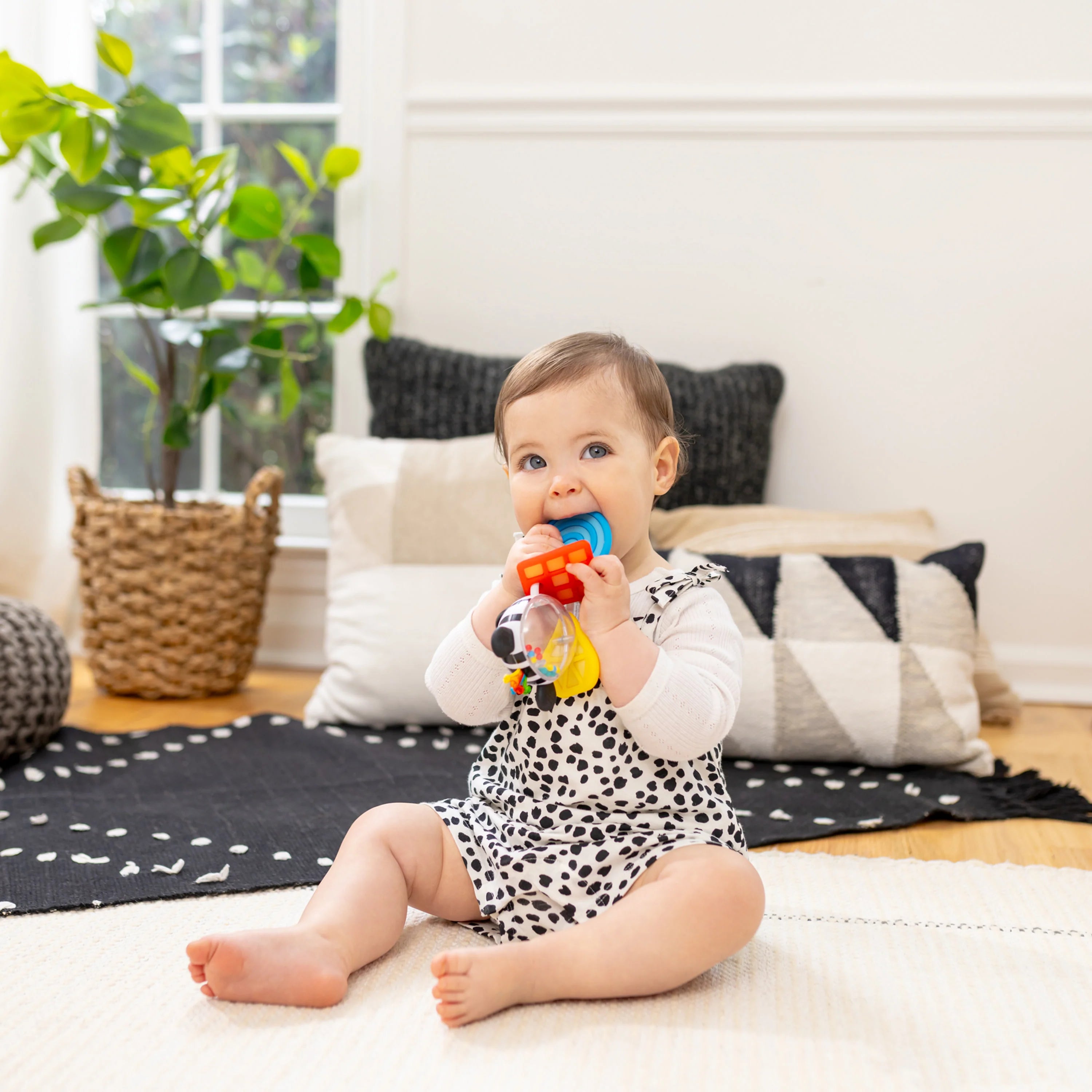Baby Einstein Shake A Shape Zen Teether Toy