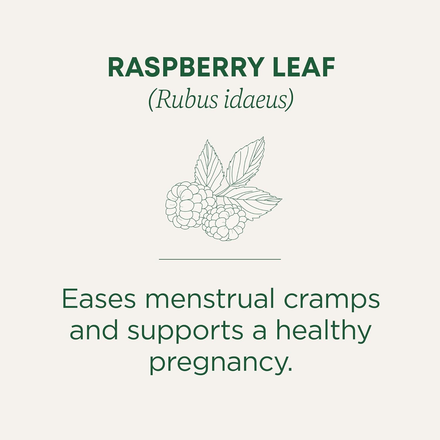 Traditional Medicinals Organic Raspberry Leaf Tea, Supports Healthy Pregnancy and Soothes Menstrual Cramps