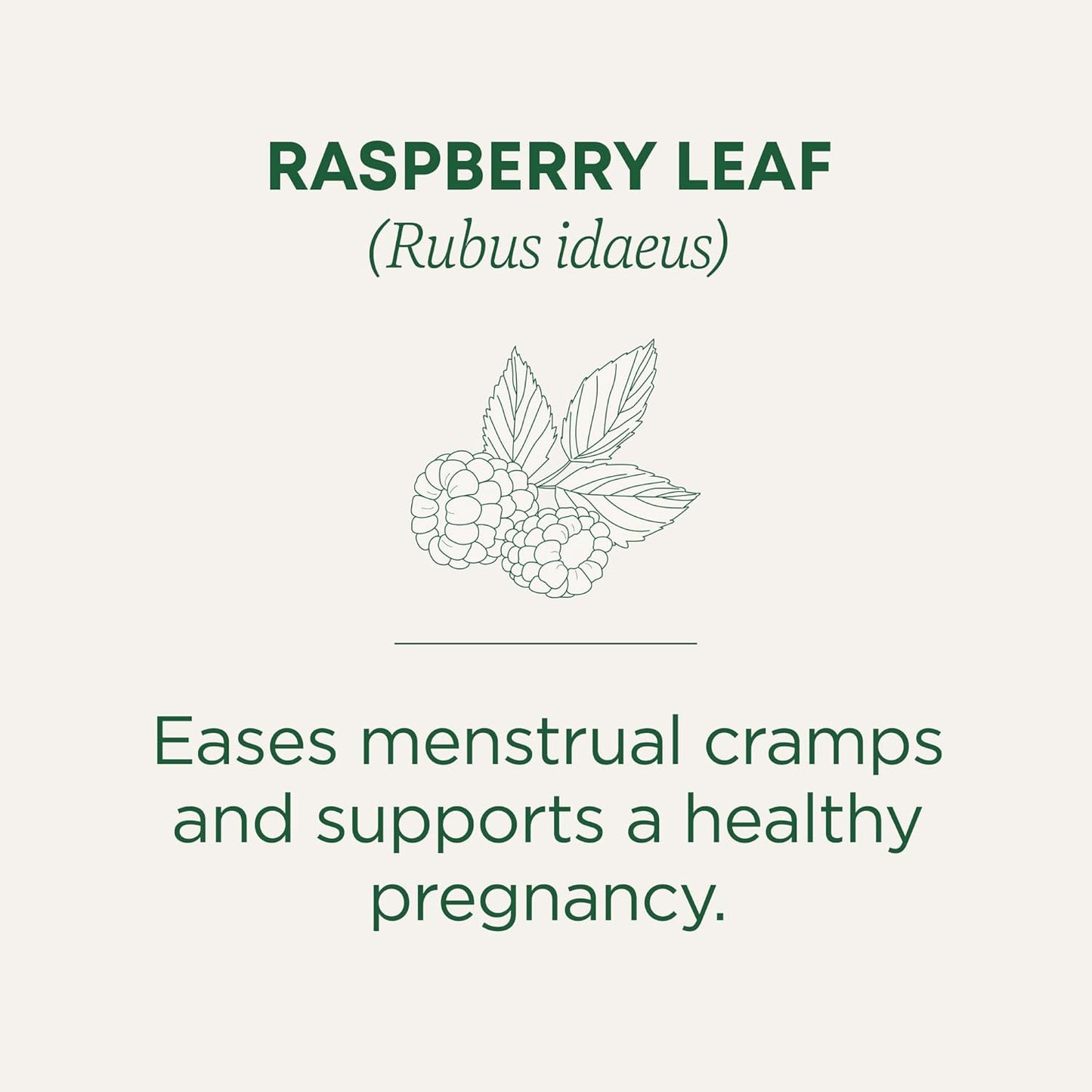 Traditional Medicinals Organic Raspberry Leaf Tea, Supports Healthy Pregnancy and Soothes Menstrual Cramps