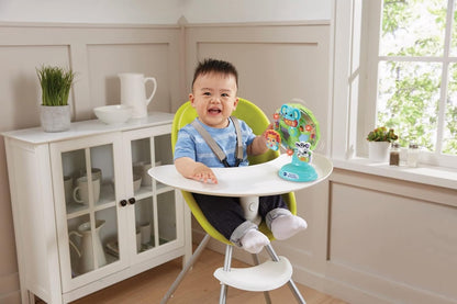 VTech Baby Sing Along Spinning Wheel