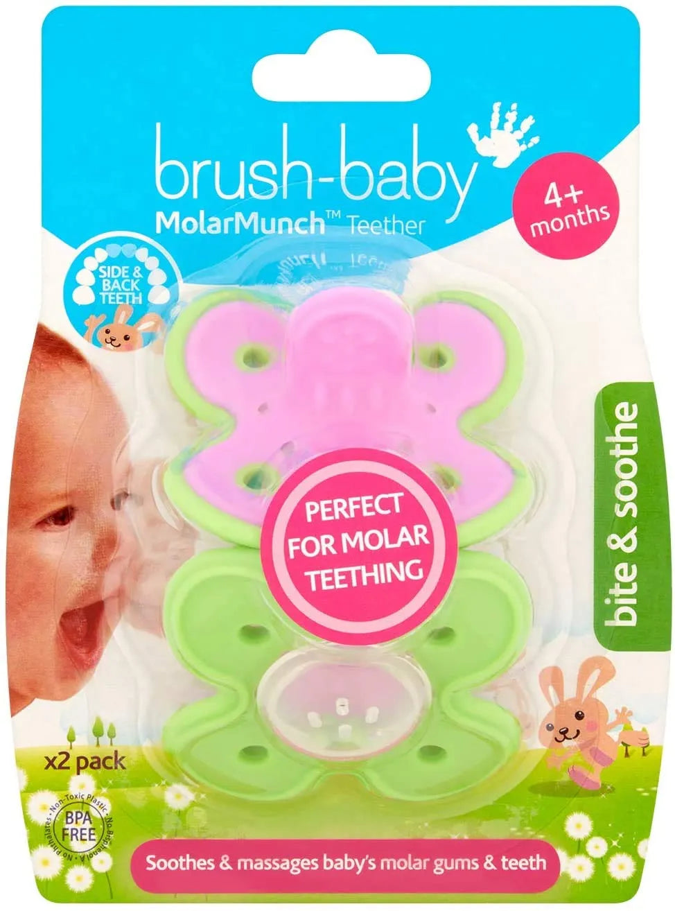 Brush-Baby Molar Munch & Teether - Pack of 2 (4 Months +)