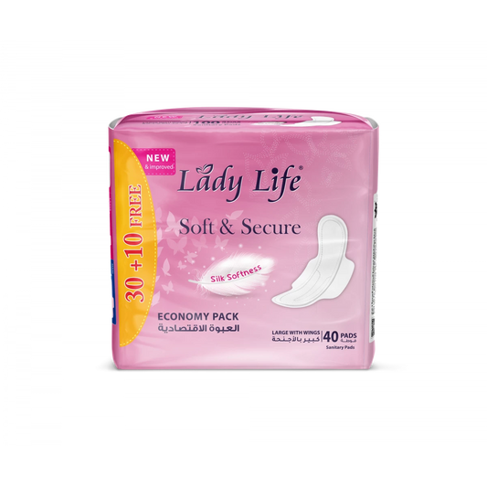 Baby Life Lady Life Compact with Wings (40 Pads)