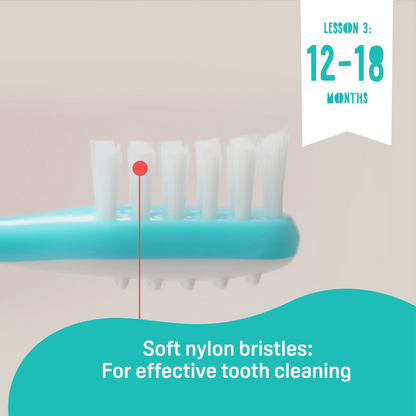 Pigeon Traning Toothbrush Lesson 123 Set