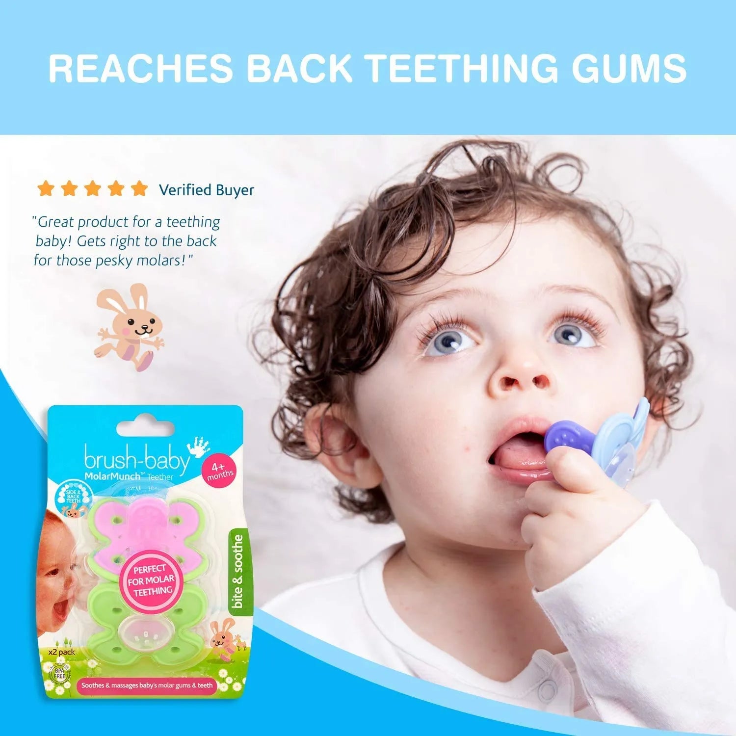 Brush-Baby Molar Munch & Teether - Pack of 2 (4 Months +)