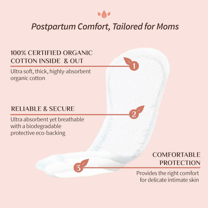 Organyc Cotton Inside and Out for Women Maternity (12 Pads)