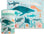 Sea Life