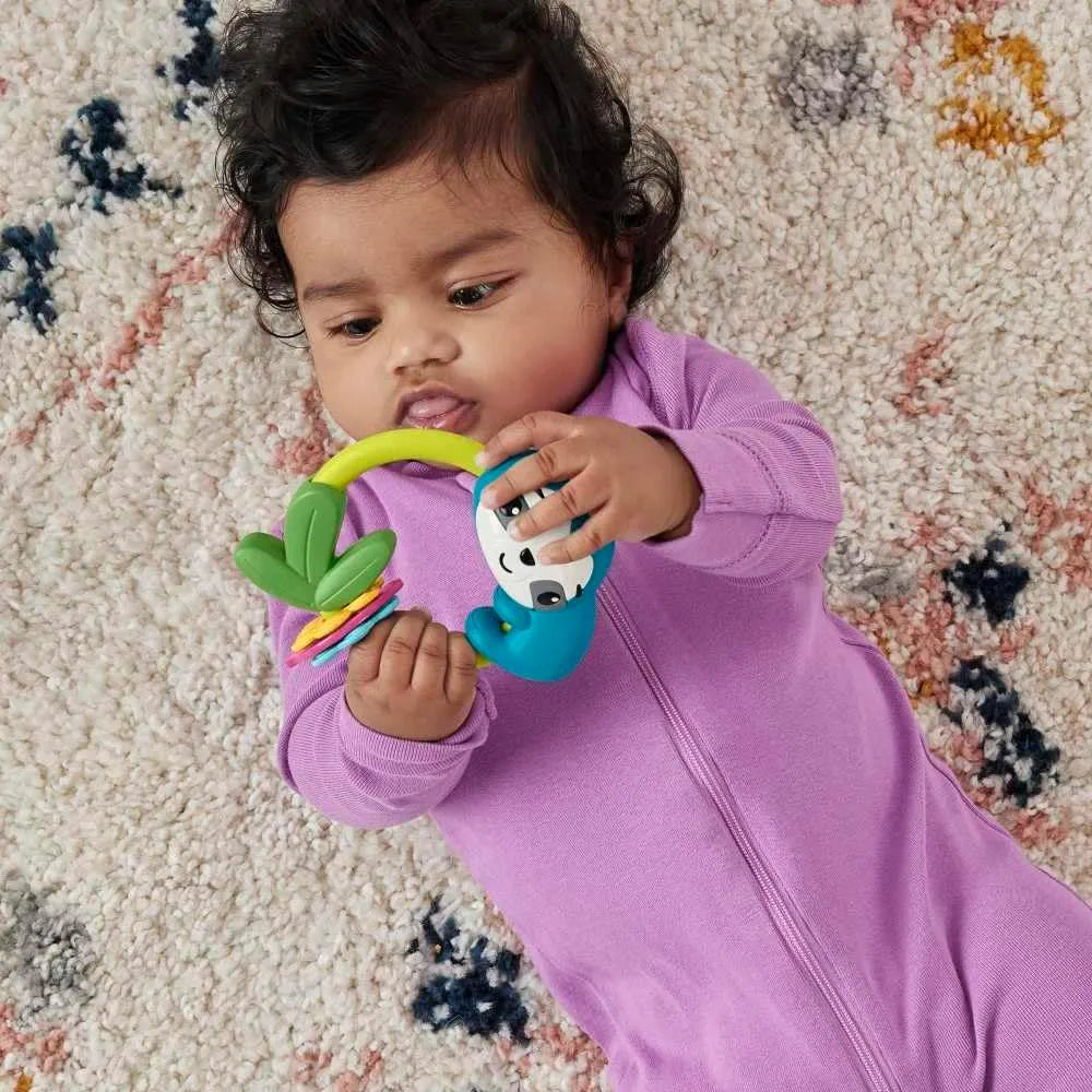 Fisher Price Animal Activity Rings & Things