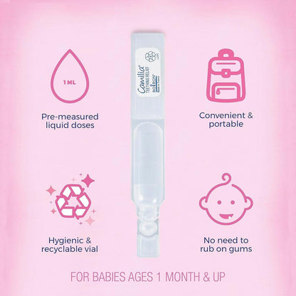 Boiron Camilia Teething Drops for Daytime and Nighttime Relief of Painful or Swollen Gums and Irritability in Babies - 60 Count