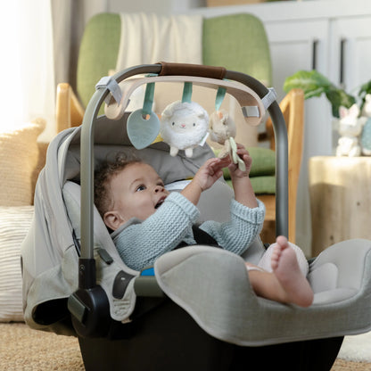 Ingenuity Wonder & Wood Carrier Toy Bar