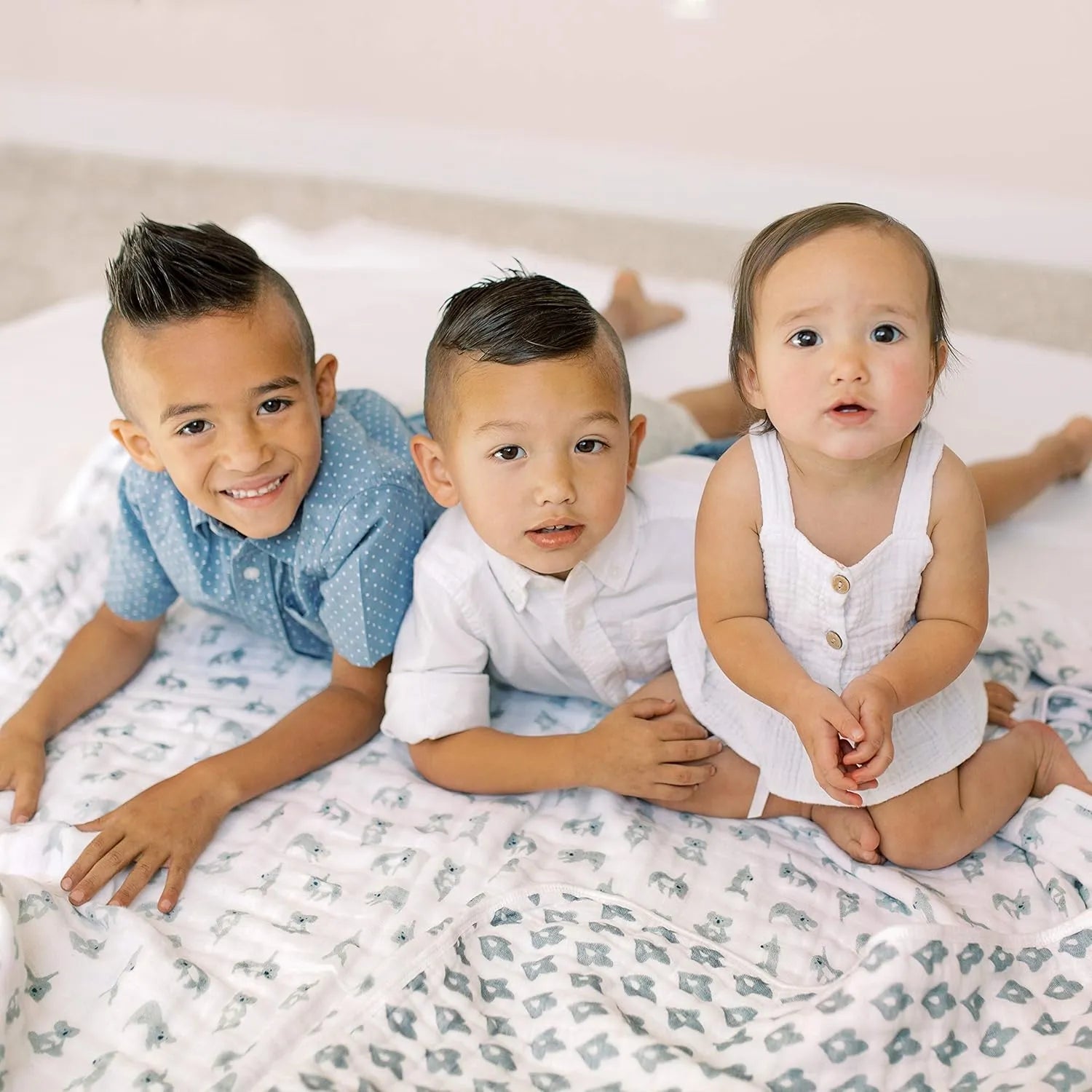 Aden & Anais Classic Dream Blanket