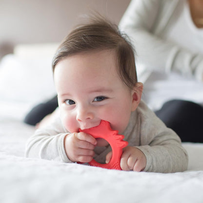Dr. Brown's Flexes Friends Teether (Fox, Red)