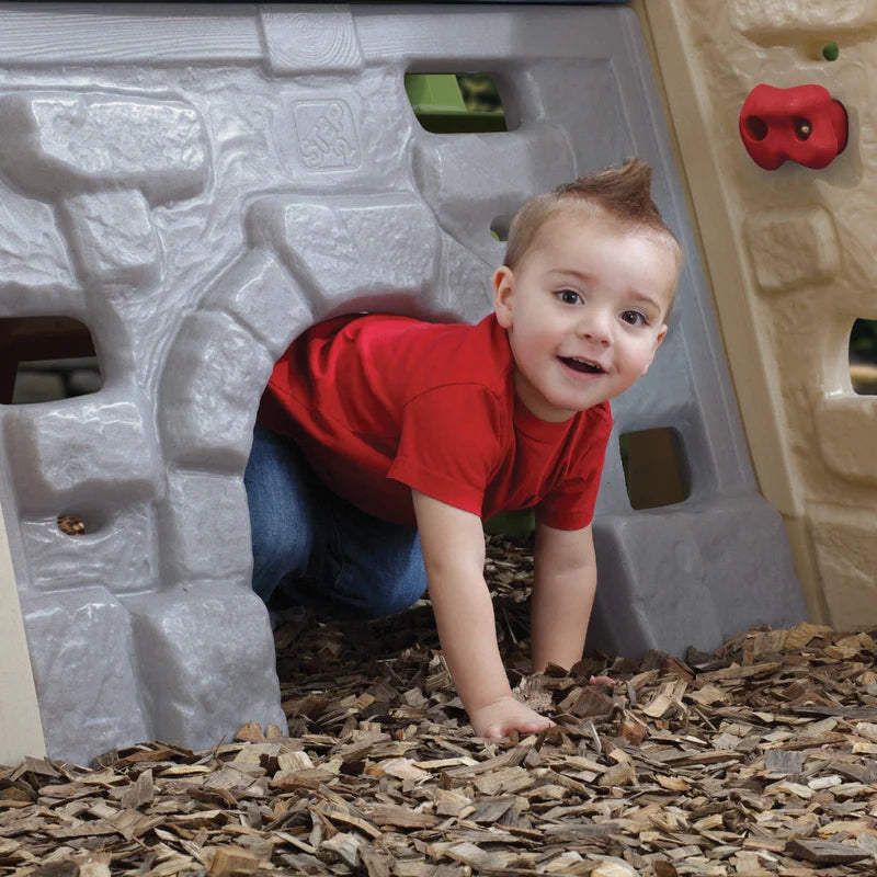 Step2 Alpine Ridge Climber and Slide