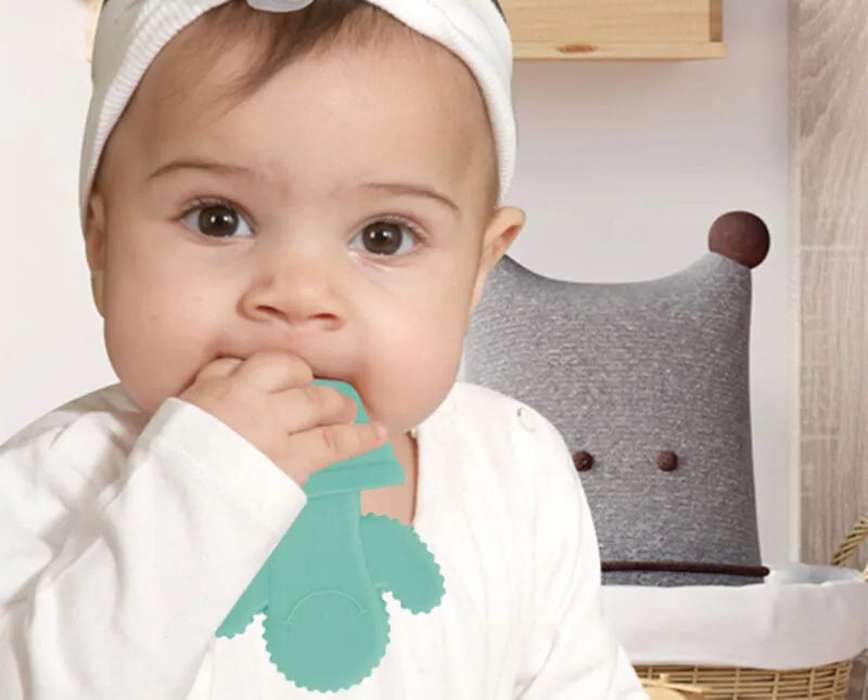 Babyjem Teether Cactus (3 Months +)