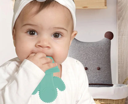 Babyjem Teether Cactus (3 Months +)